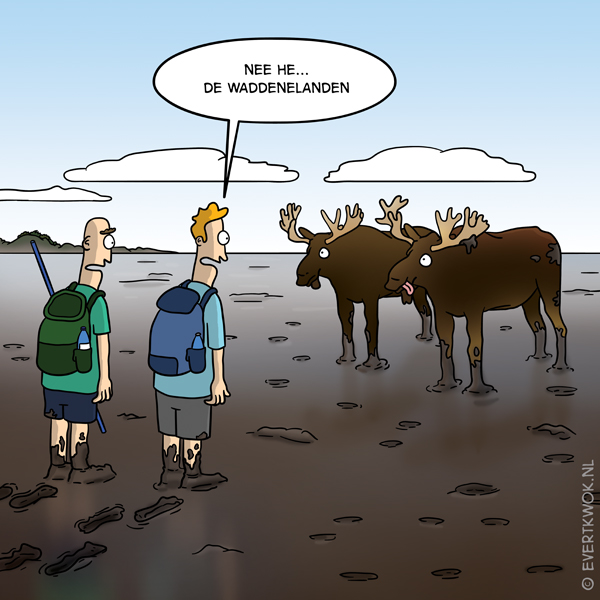 waddenelanden