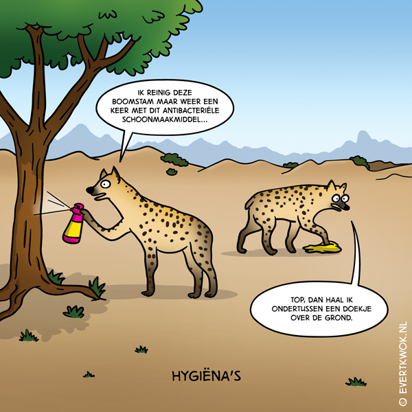 hygienas