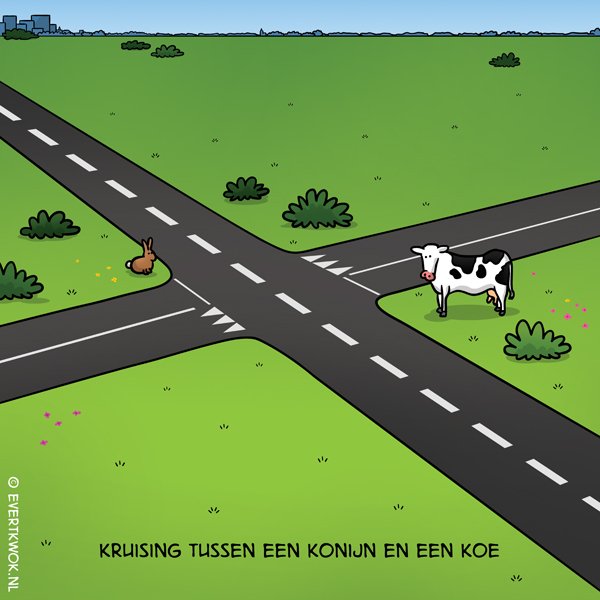 Kruising