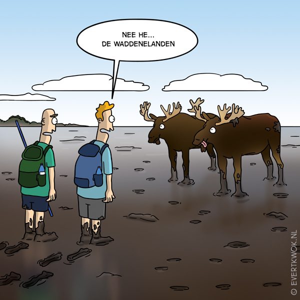 waddenelanden