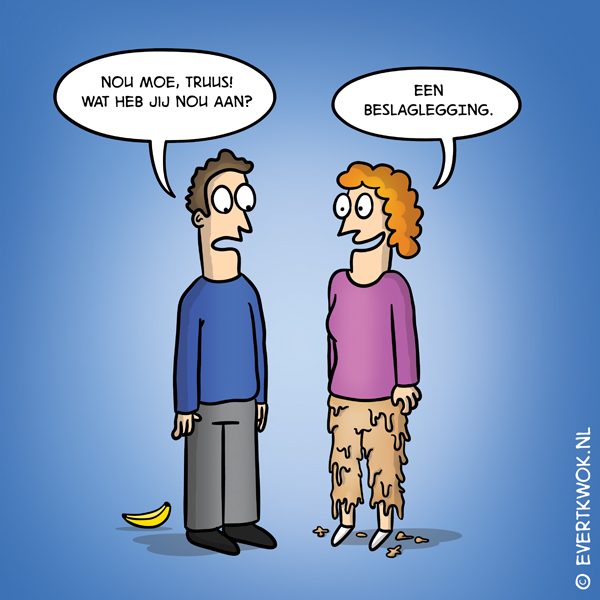 Beslaglegging