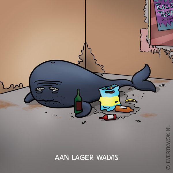 walvis