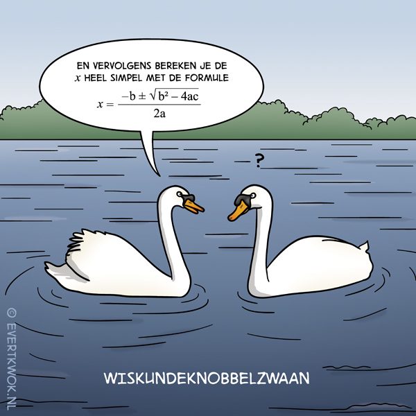 wiskundeknobbel