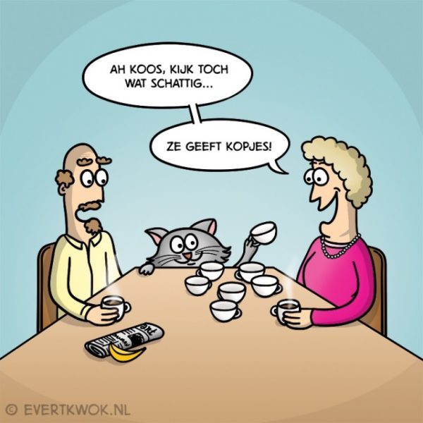 Kopjes