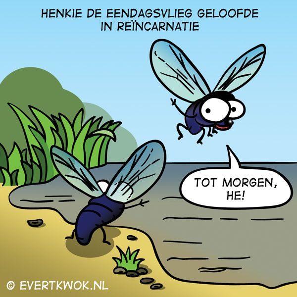 zweefvliegen