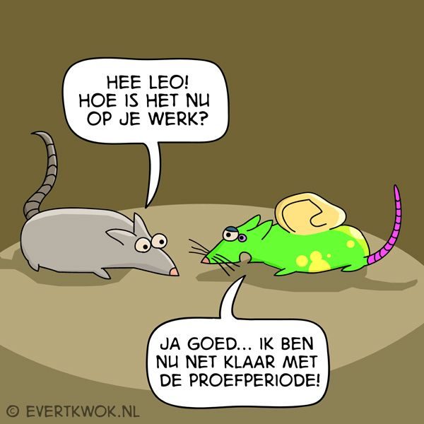 Proefperiode
