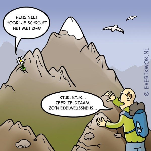 Edelweissneus