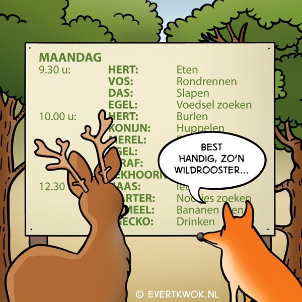 wildrooster