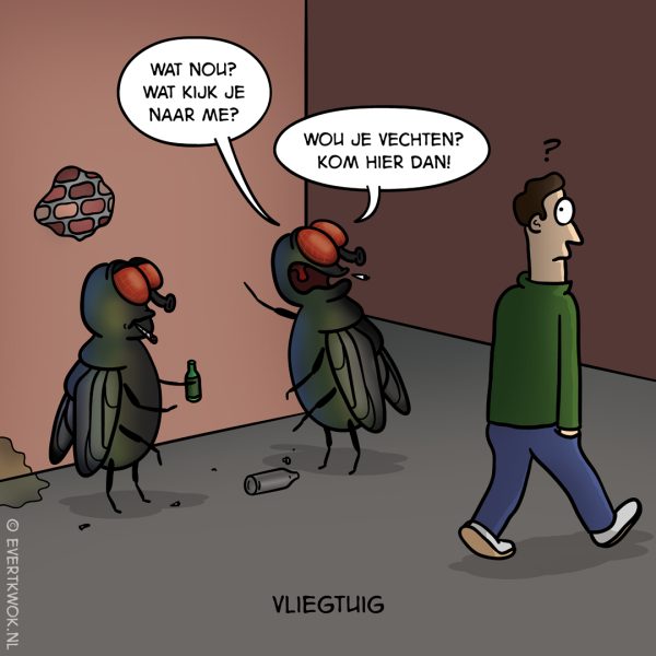 vliegtuig
