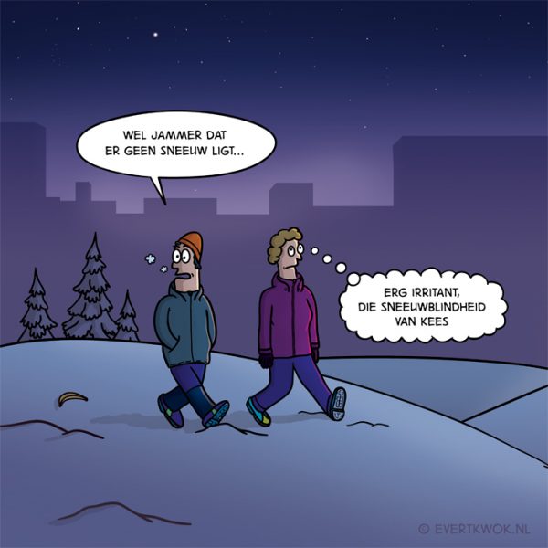 sneeuwblind